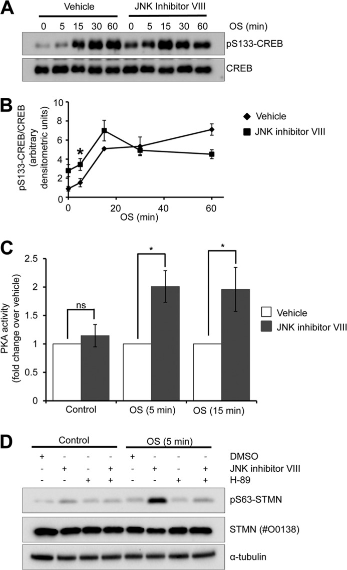 FIGURE 10.