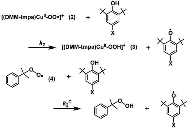 Scheme 2