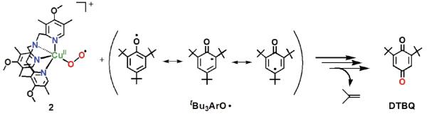 Scheme 6