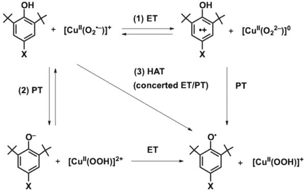 Scheme 3