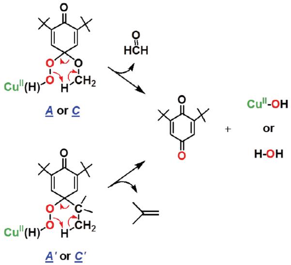 Scheme 5