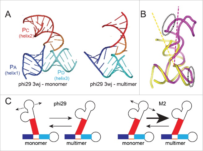 Figure 5.