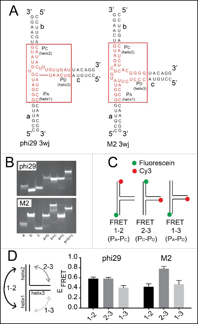 Figure 3.