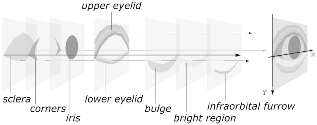 Fig. 2.