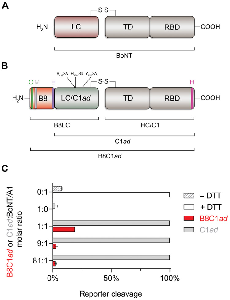 Fig. 1.