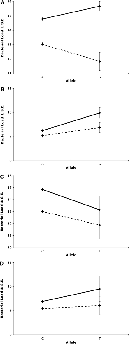 Figure 4.—