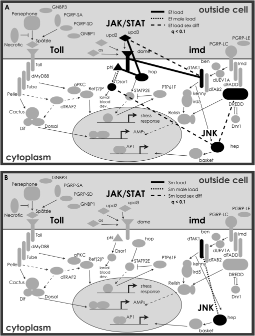 Figure 5.—