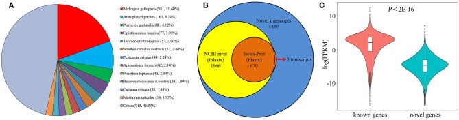 Figure 7