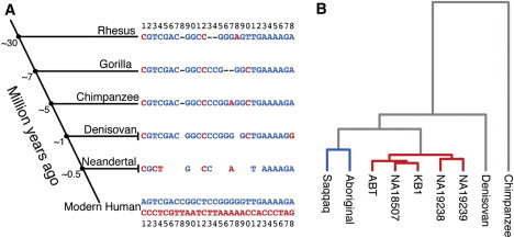 Figure 5