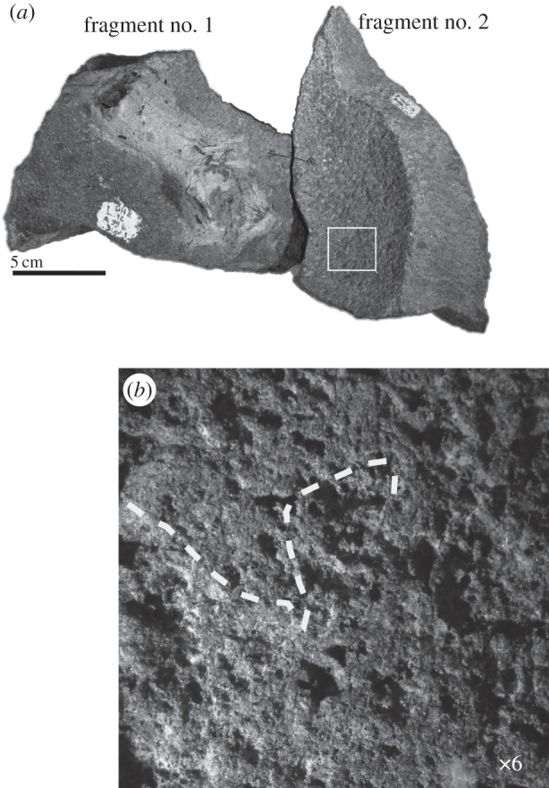 Figure 6.