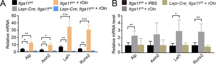 Figure 7—figure supplement 1.