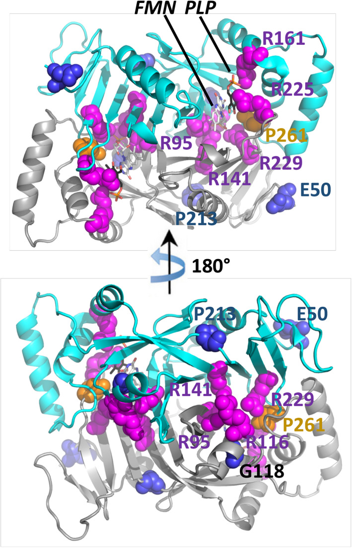 FIGURE 3