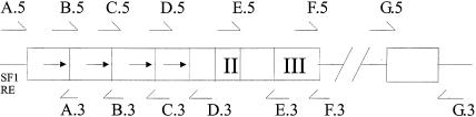 Figure  1