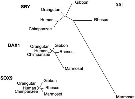 Figure  2