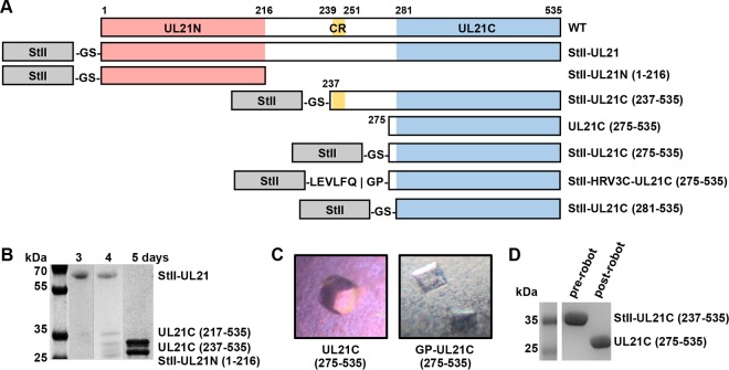 FIG 1