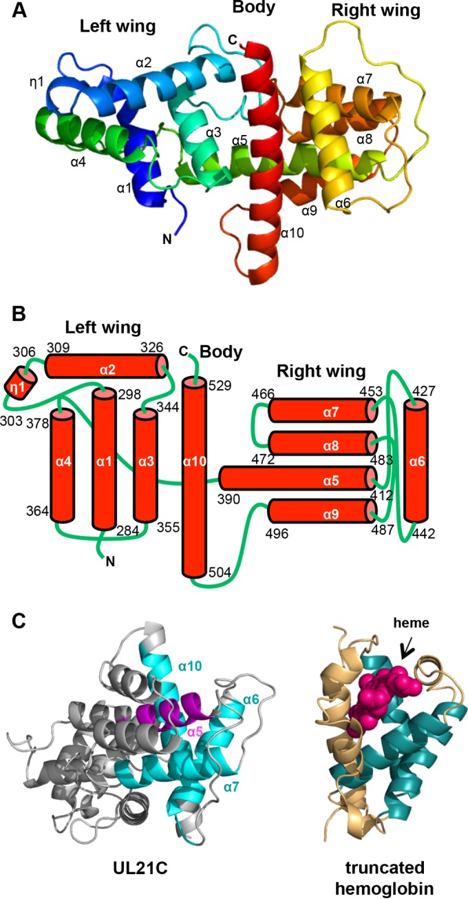 FIG 2