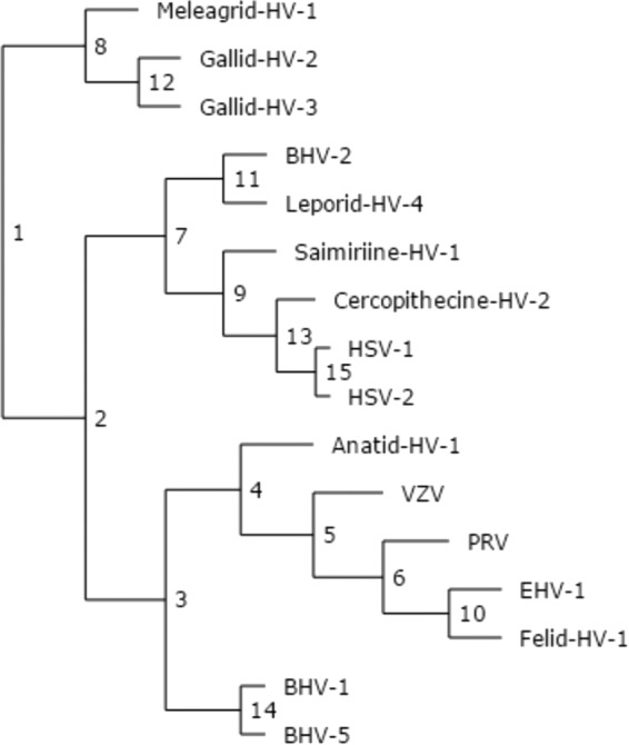 FIG 5