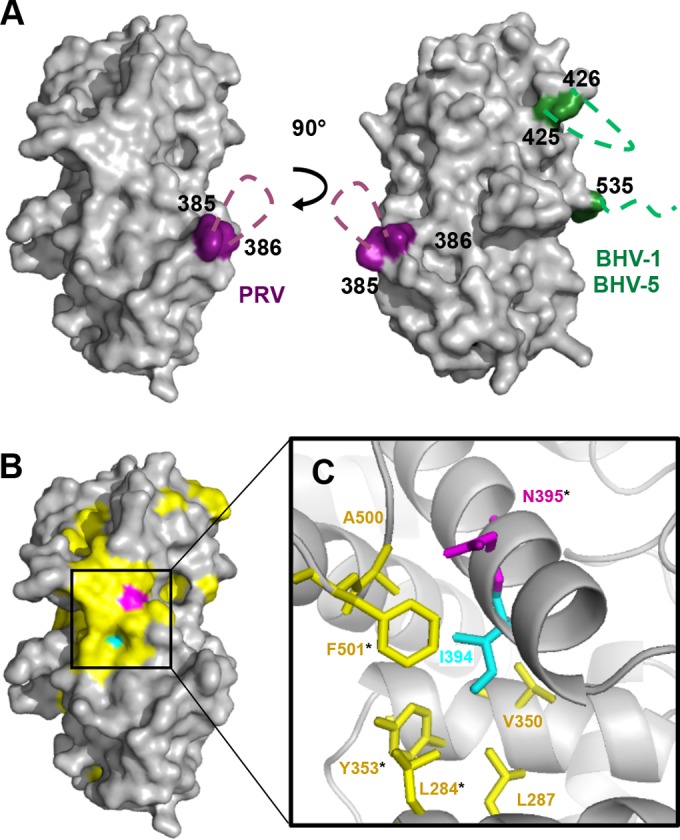 FIG 4