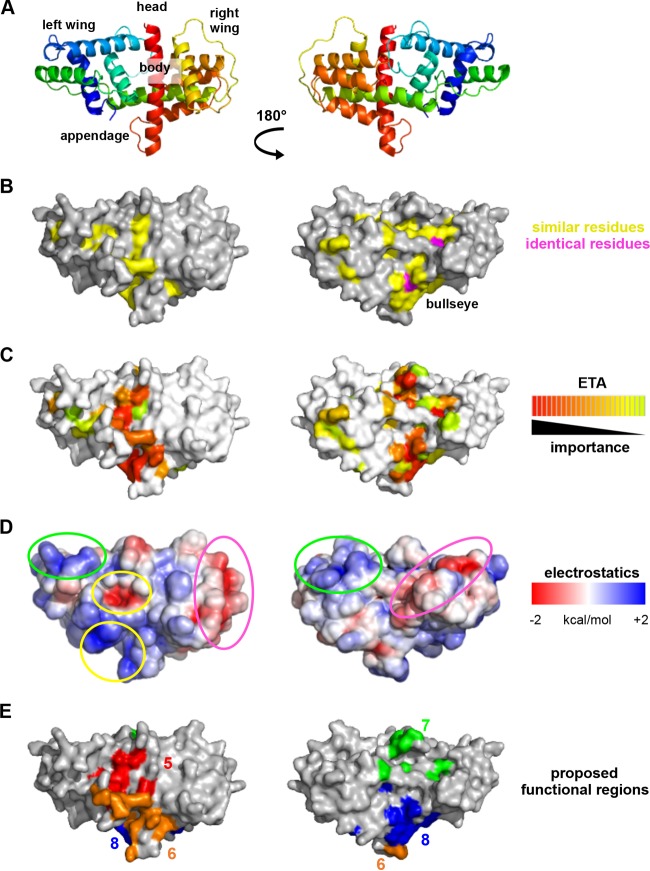 FIG 6