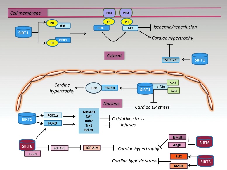 FIG. 6.