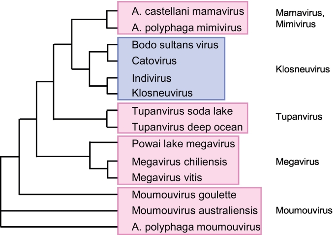 Fig. 4