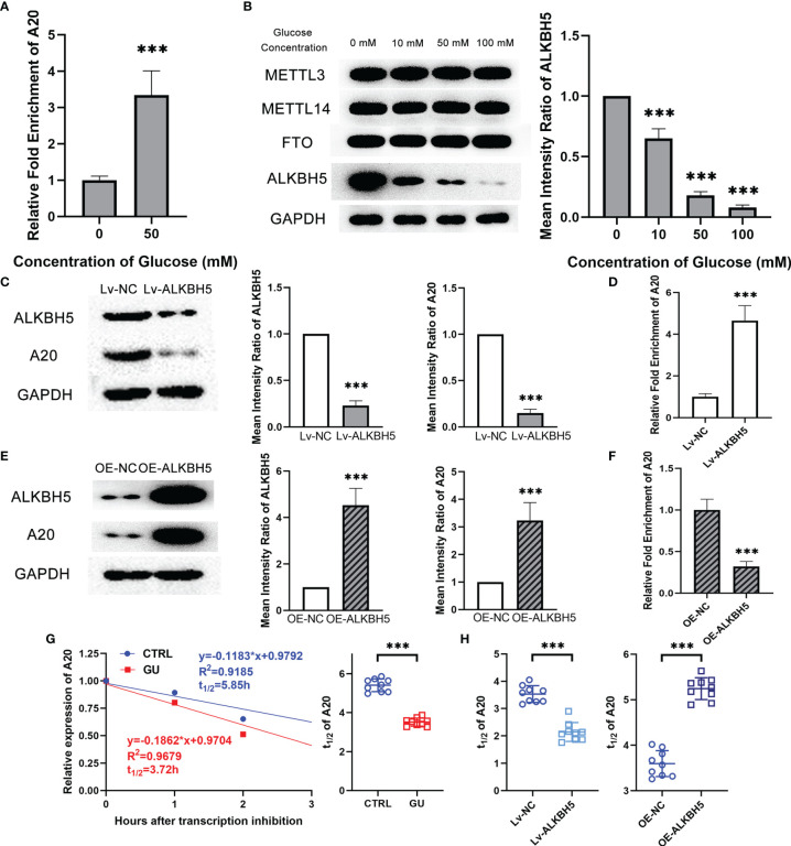 Figure 6