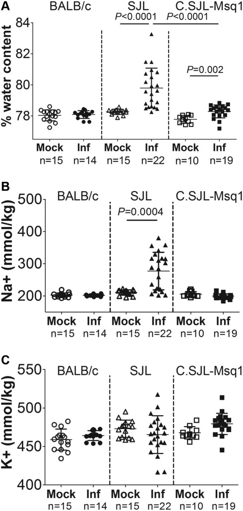 FIG 4 