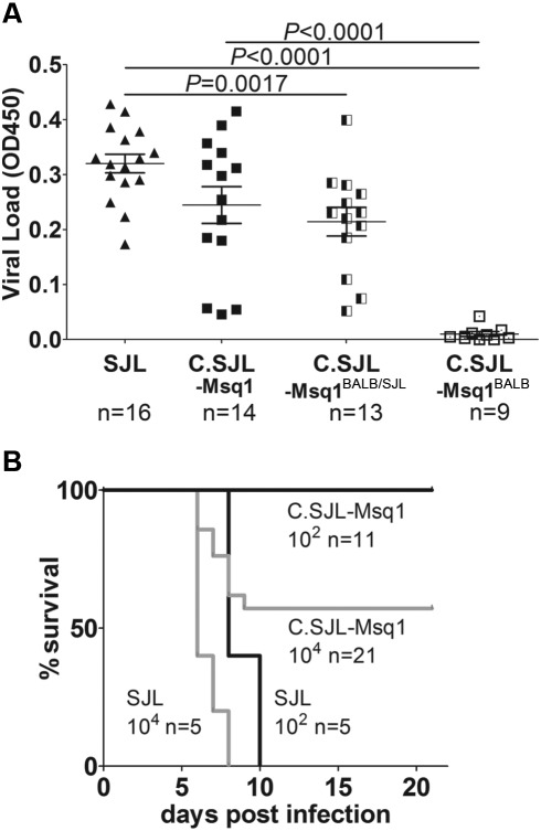 FIG 1 