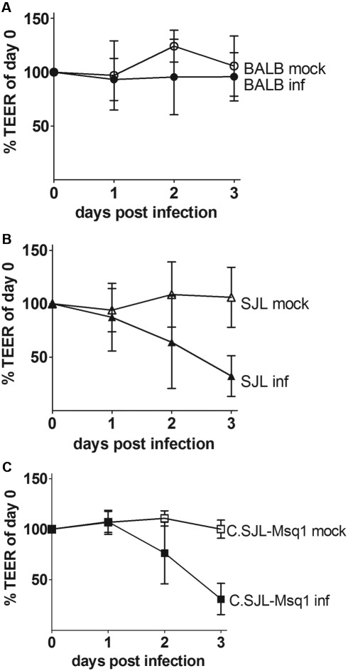 FIG 5 