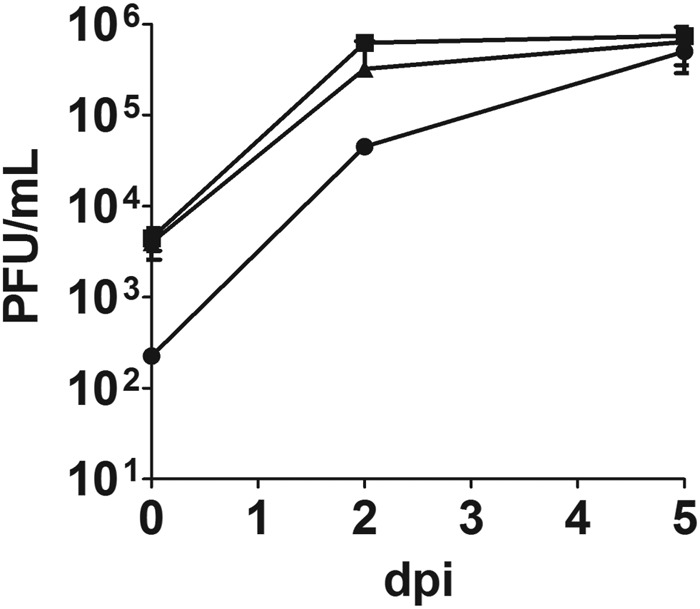 FIG 6 