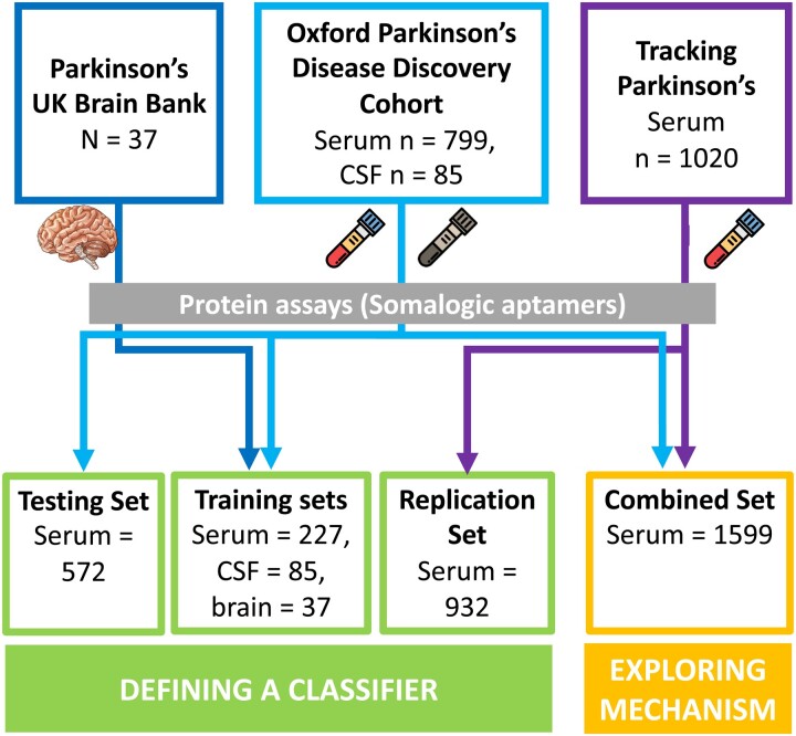 Graphical abstract