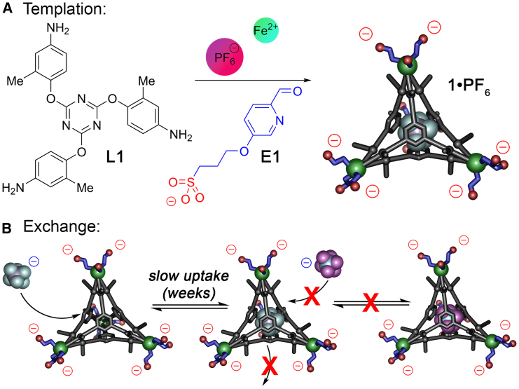 Figure 7