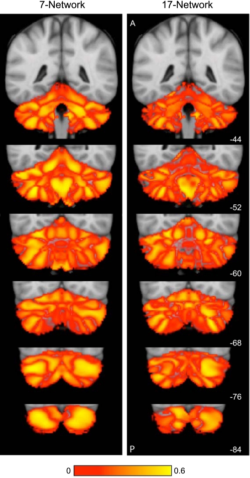 Fig. 10.