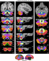 Fig. 8.