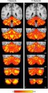 Fig. 10.