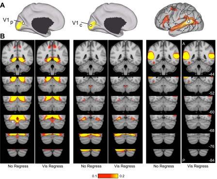 Fig. 12.