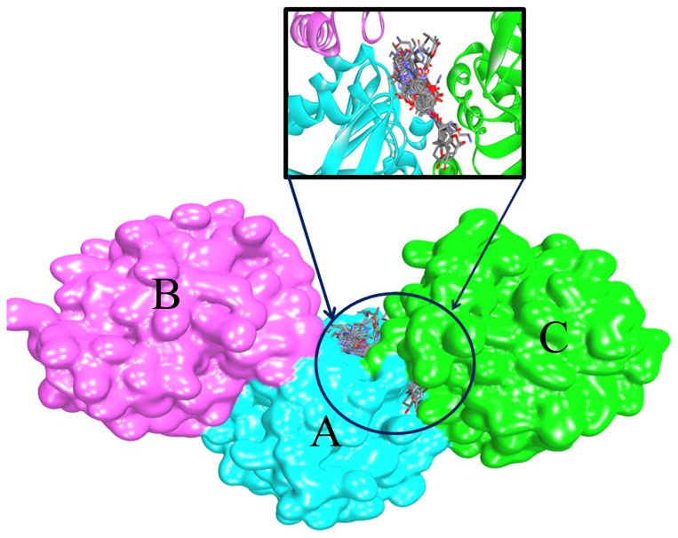 Figure 5