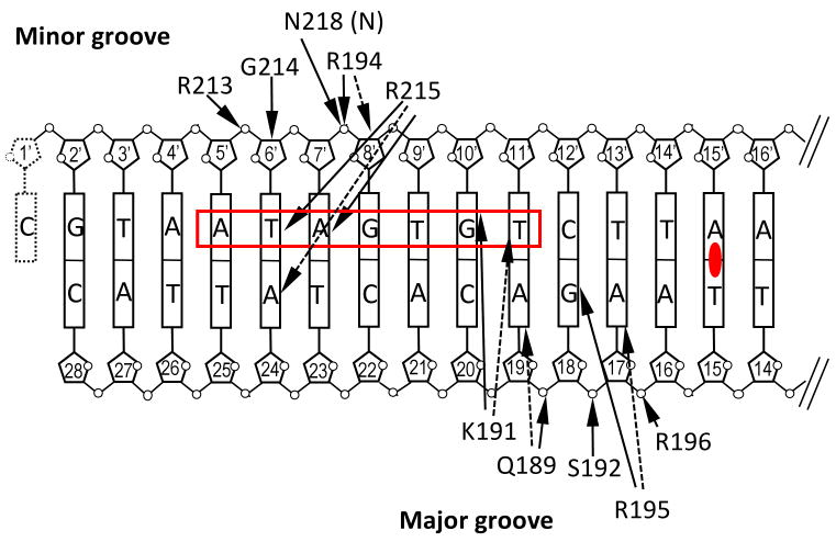 Figure 7