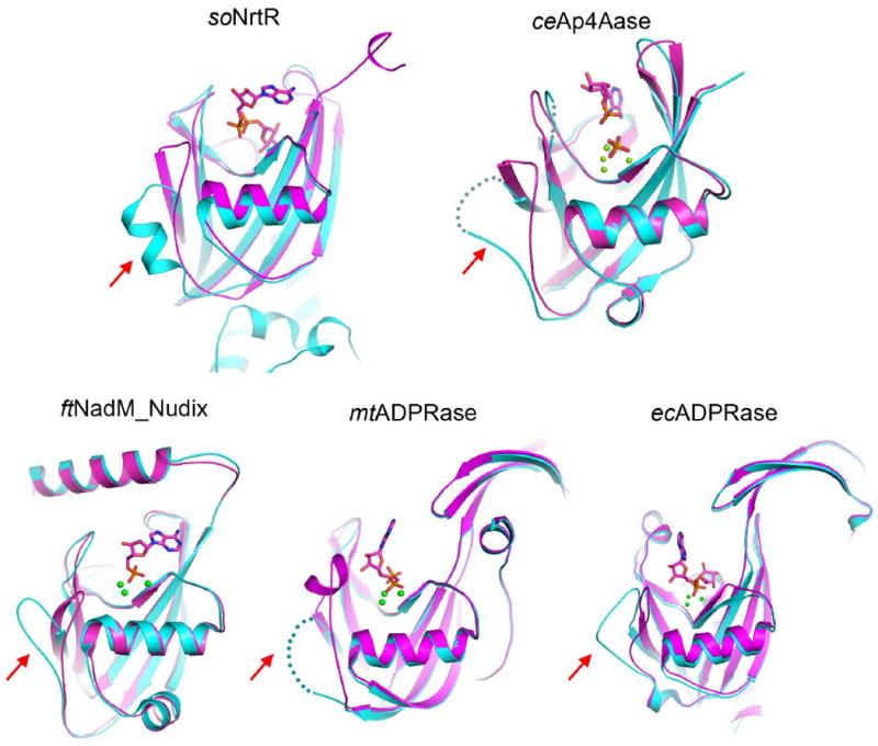 Figure 9