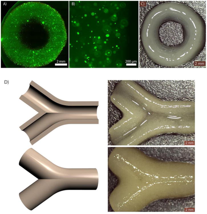 Fig. 9