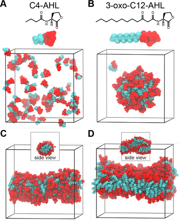 Figure 4: