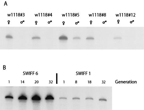 FIG. 5.