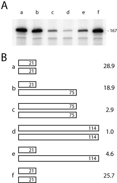 FIG. 7.