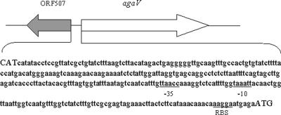 FIG. 1.