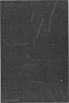 623