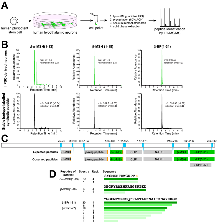 Figure 3