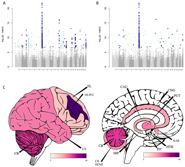 Figure 2: