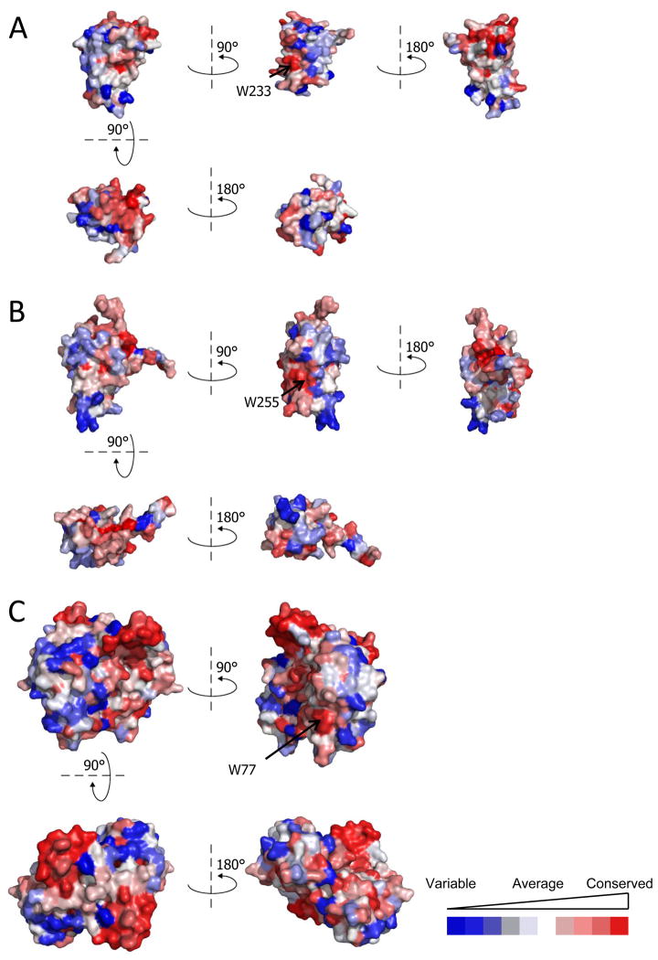 Figure 10