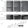 FIG 6