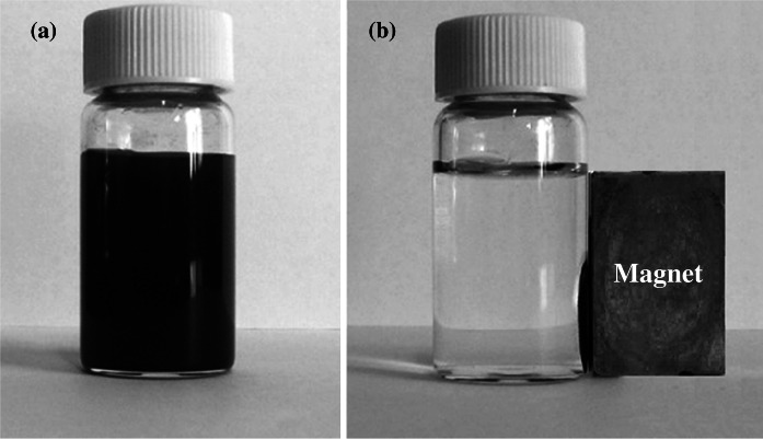 Fig. 7